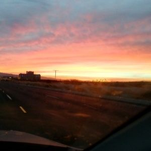 Meet your Posher, Anabel